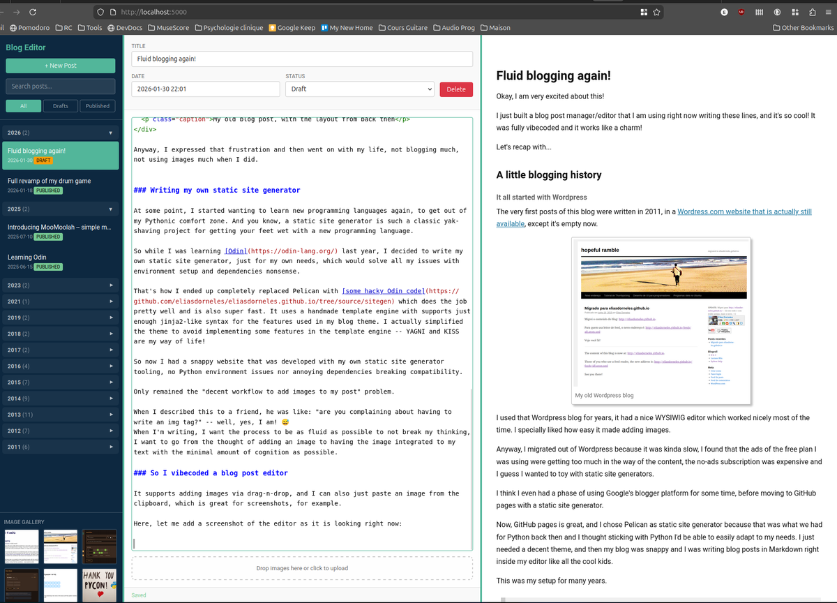 A screenshot of my blog post editor while editing this post